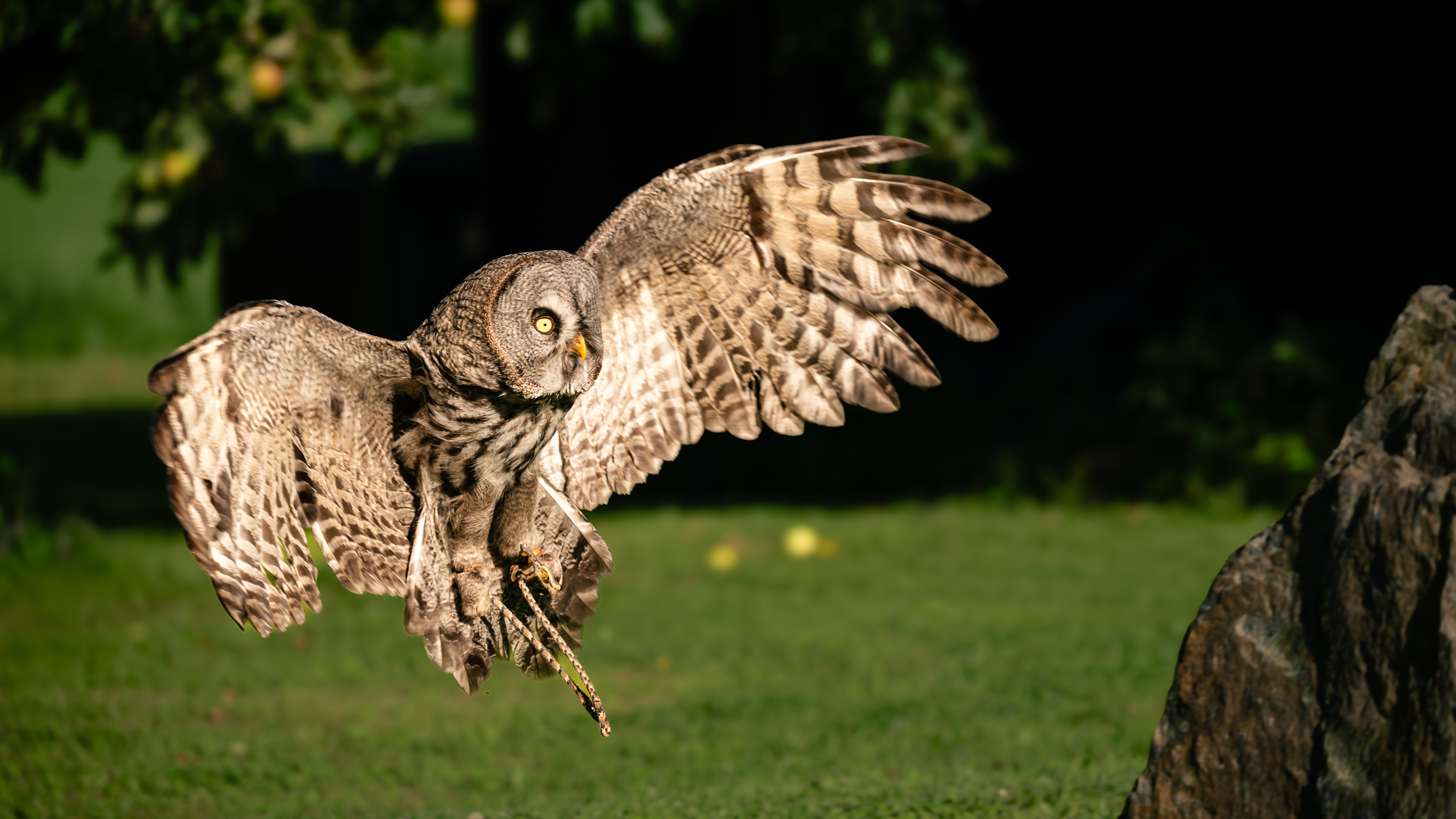 Falknereihof Haging 2388